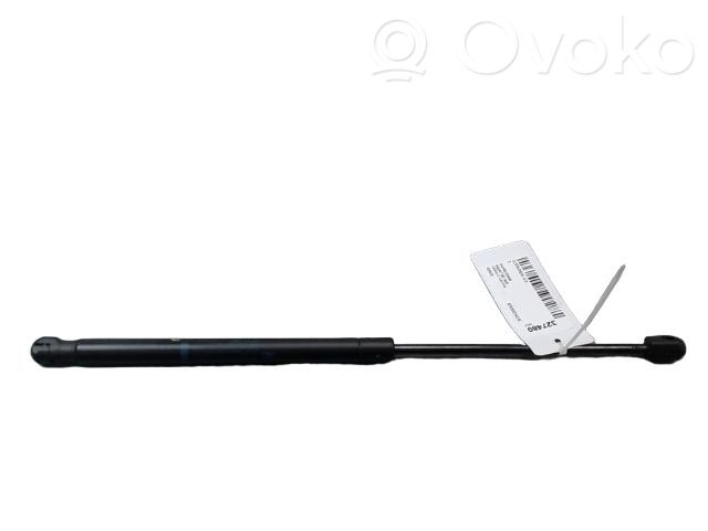 Citroen C2 Amortizor hayon 