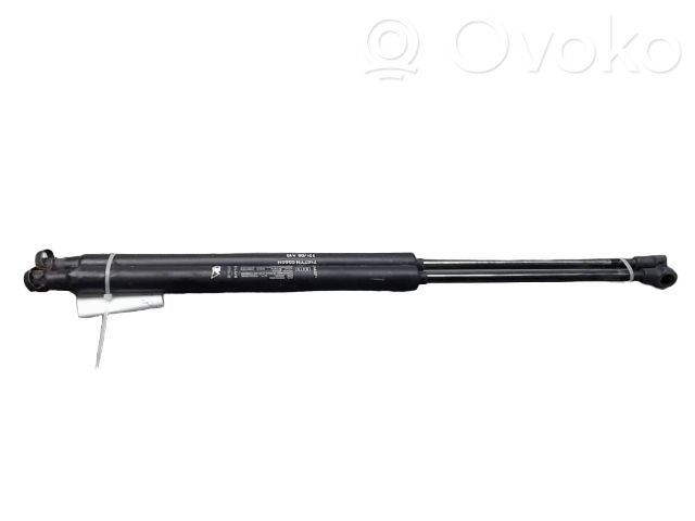 Fiat 500 Ammortizzatore portellone posteriore/bagagliaio 