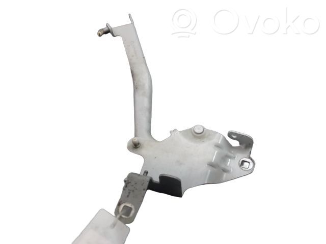 Renault Megane III Cerniere del vano motore/cofano 