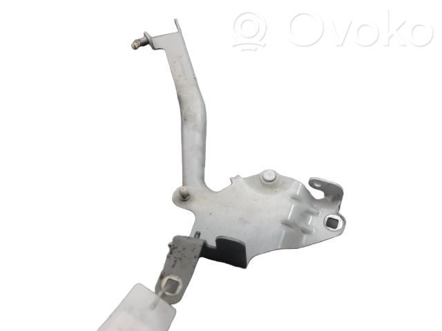 Renault Megane III Cerniere del vano motore/cofano 