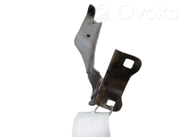 Nissan Micra C+C Cerniere del vano motore/cofano 
