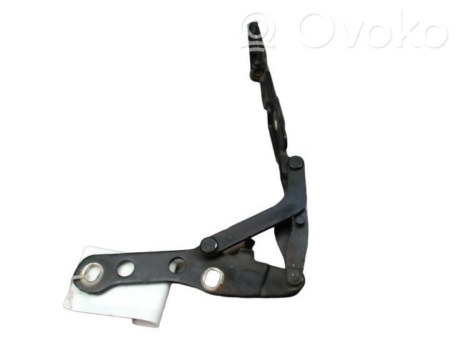 BMW M3 Cerniere del vano motore/cofano 