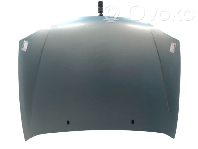 Ford Fiesta Motorhaube 