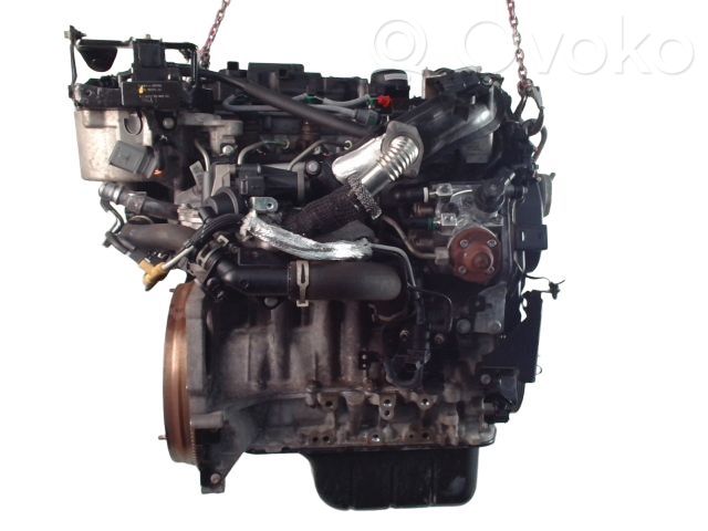 Ford Fiesta Variklis 