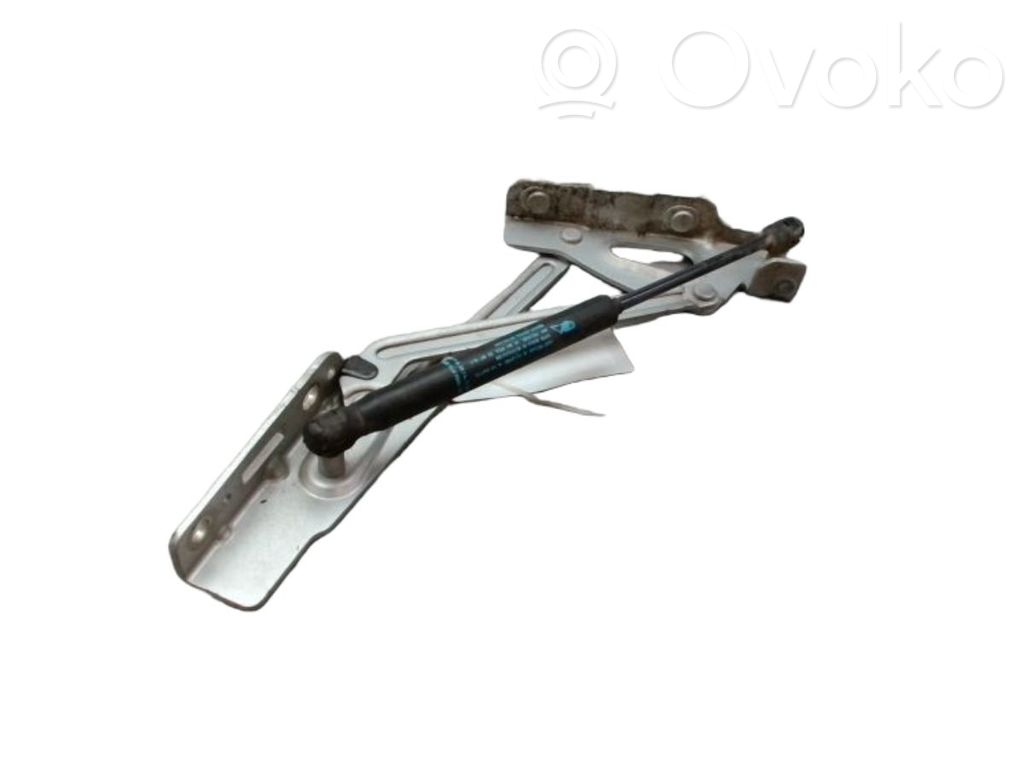 Peugeot 407 Bisagra del maletero/compartimento de carga 