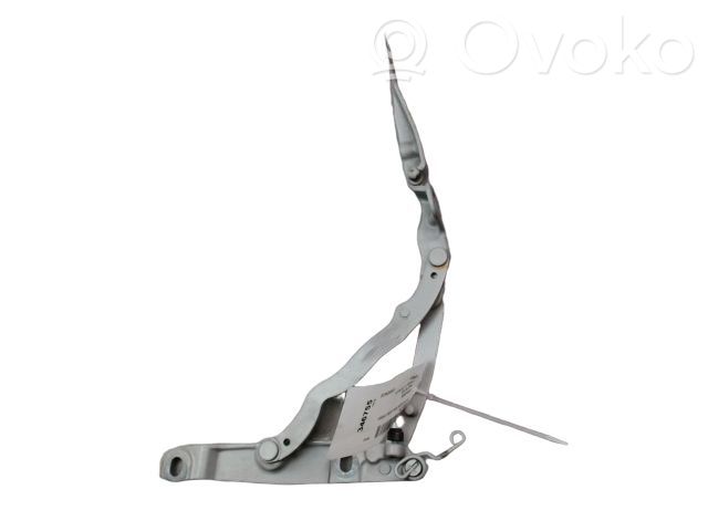 BMW Z4 E85 E86 Tailgate/trunk/boot hinge 