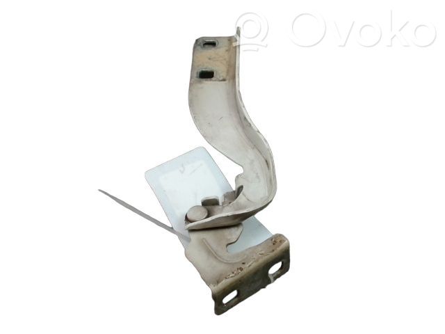 Citroen Jumper Engine bonnet/hood hinges 