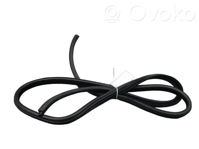 BMW M3 Front door rubber seal 