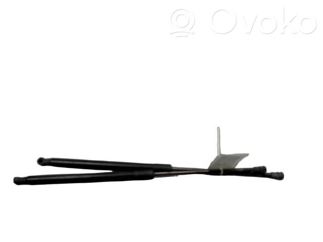 Nissan Qashqai Amortizor hayon 