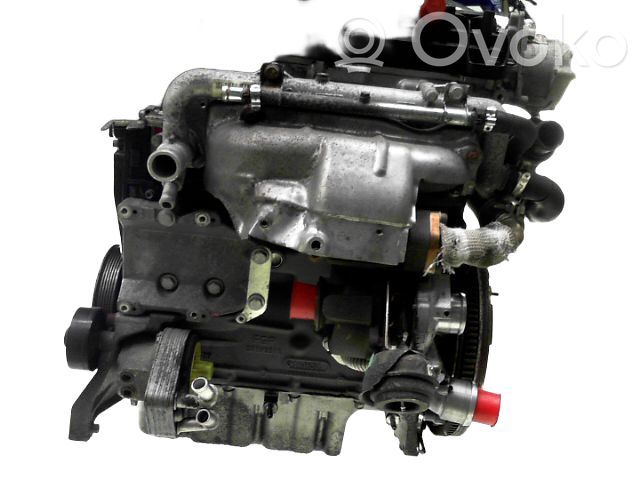 Fiat Bravo Motor 