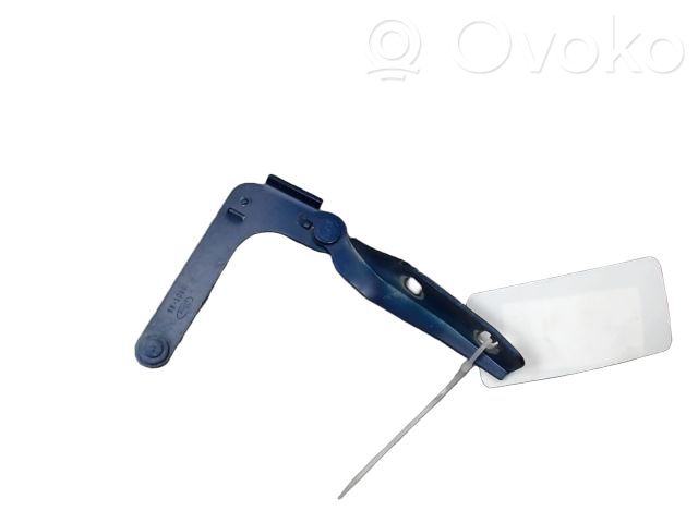 Ford C-MAX I Engine bonnet/hood hinges 