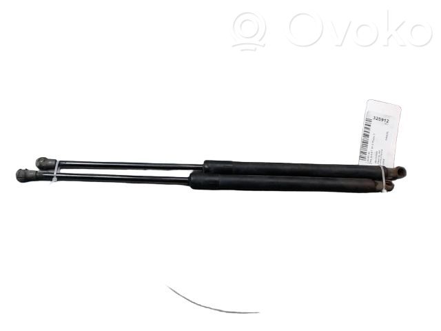 Audi A4 S4 B7 8E 8H Tailgate/trunk strut/damper 