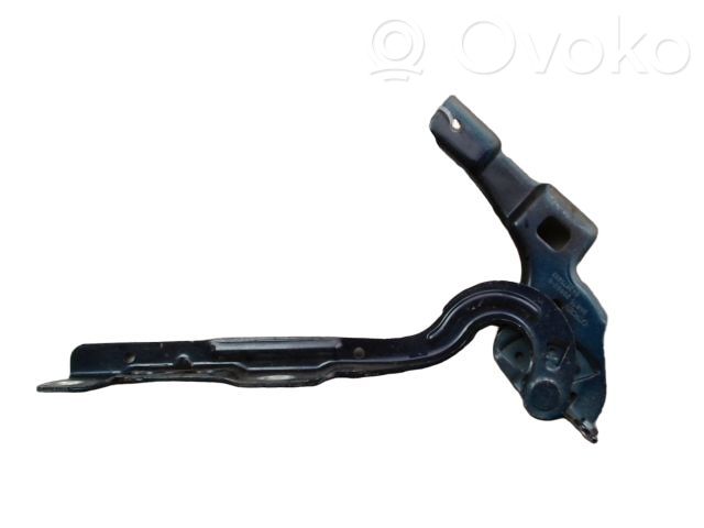 Citroen C4 II Cerniere del vano motore/cofano 