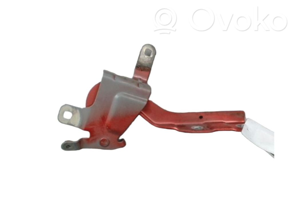 Balamale capotă   654008394R,654008394R