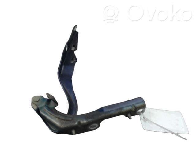 Peugeot 207 Konepellin saranat 