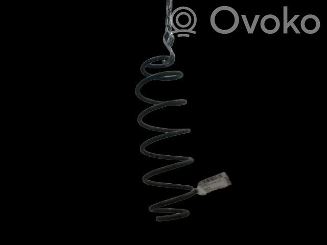 Molla elicoidale posteriore   5102CT,5102CT