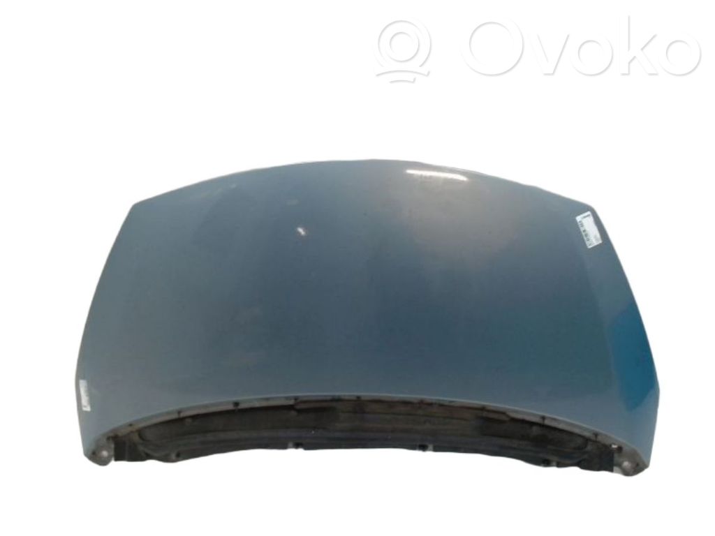 Motorhaube   651000267R,651000267R