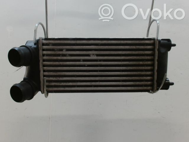 Radiator intercooler   9800291280,0011023652,0090180009,0090180011,0384F6,0384G4,0384L9,0384N9,067008N,09014705,105528,2066557,30281,807M39A,818291,9636635380,96514,9684212480,9800291280,M160835,WG1794060