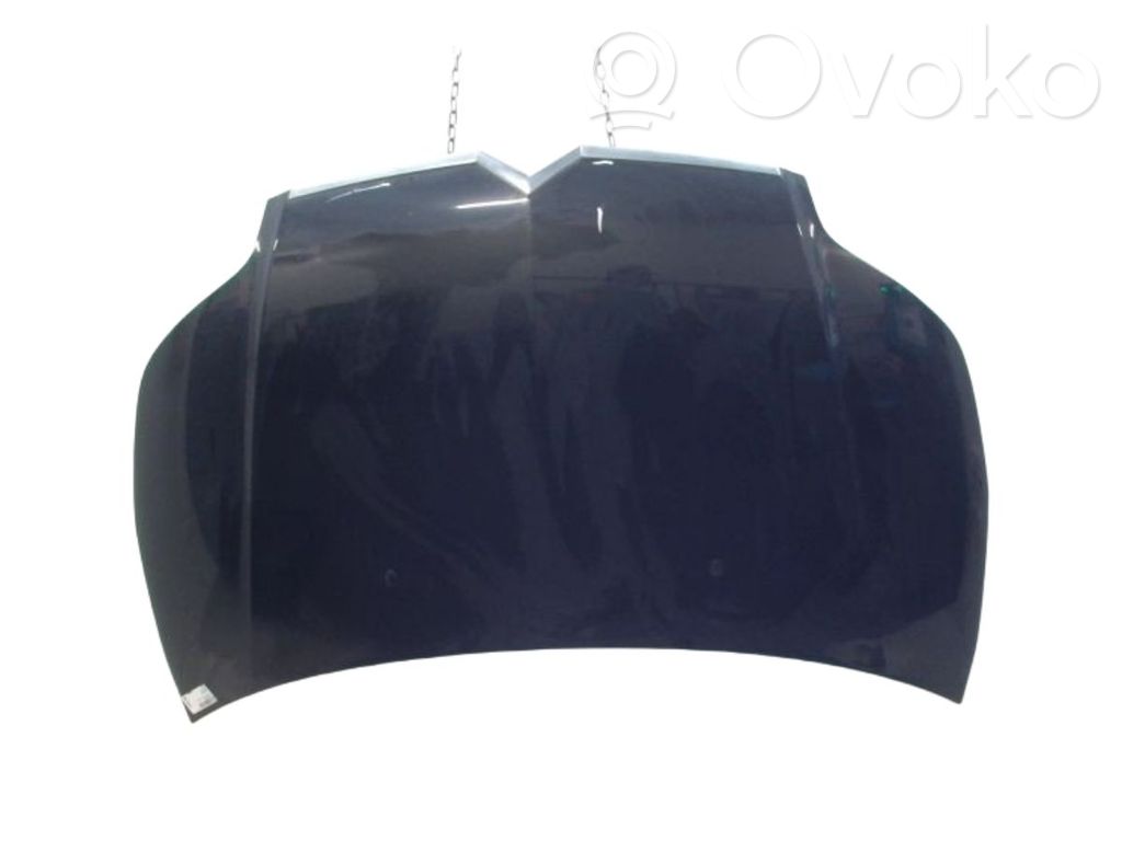 Capotă motor   7901L1,00007901L1,05031061,051408,05301061,0970660,0970760,4072000,6803000537280P,7901L1,CI4243100,CI4243110,L00063