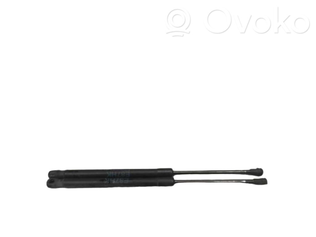 BMW 1 E82 E88 Gasdruckfeder Dämpfer Heckklappe Kofferraumdeckel 