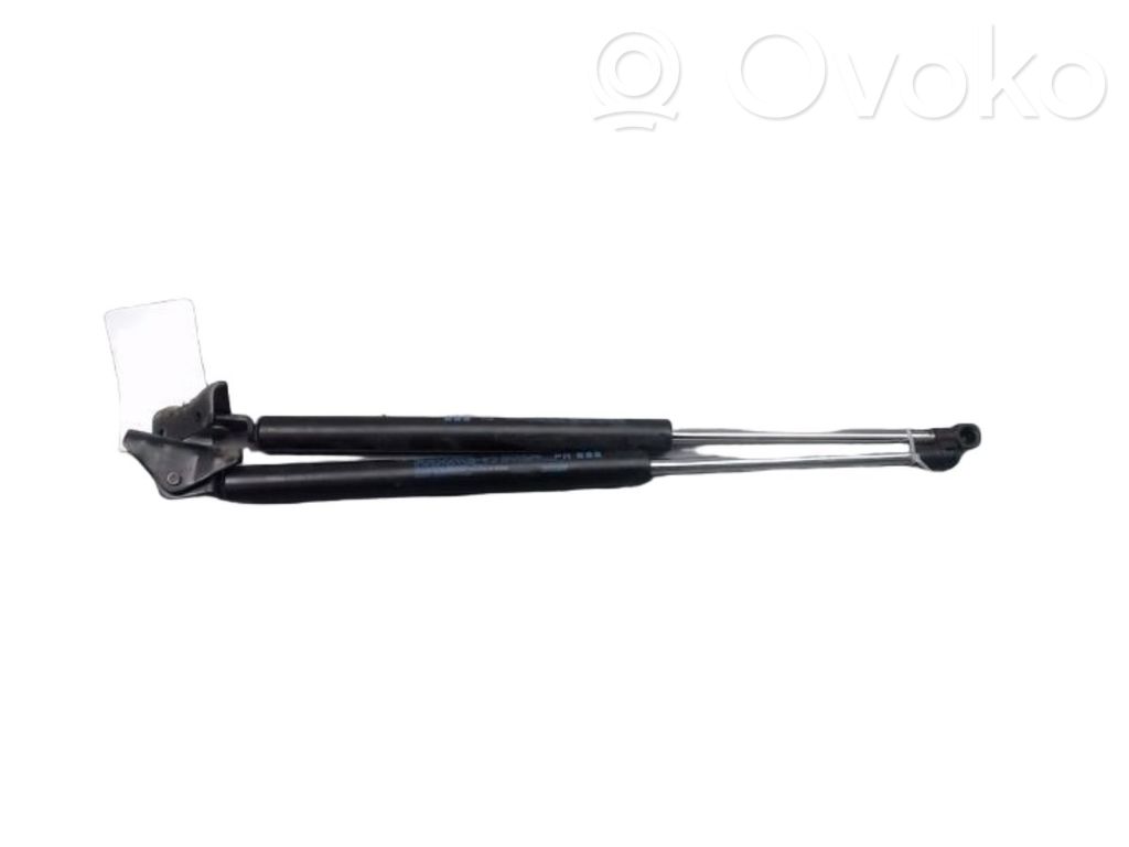 Citroen C4 Aircross Amortizor hayon 