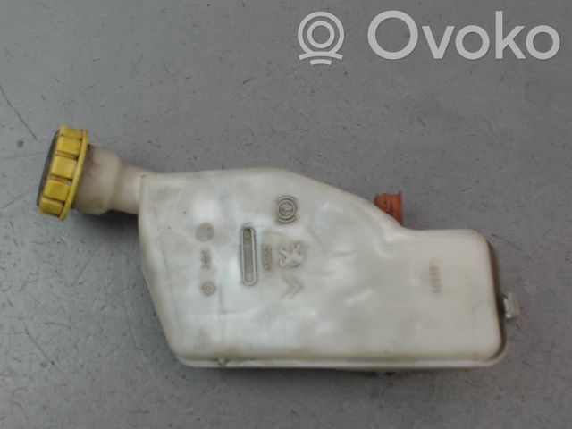 Peugeot 208 I Rezervor lichid frână 