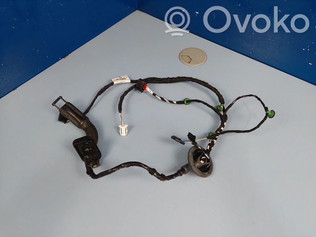 Volkswagen PASSAT B8 Wiązka przewodów drzwi tylnych 