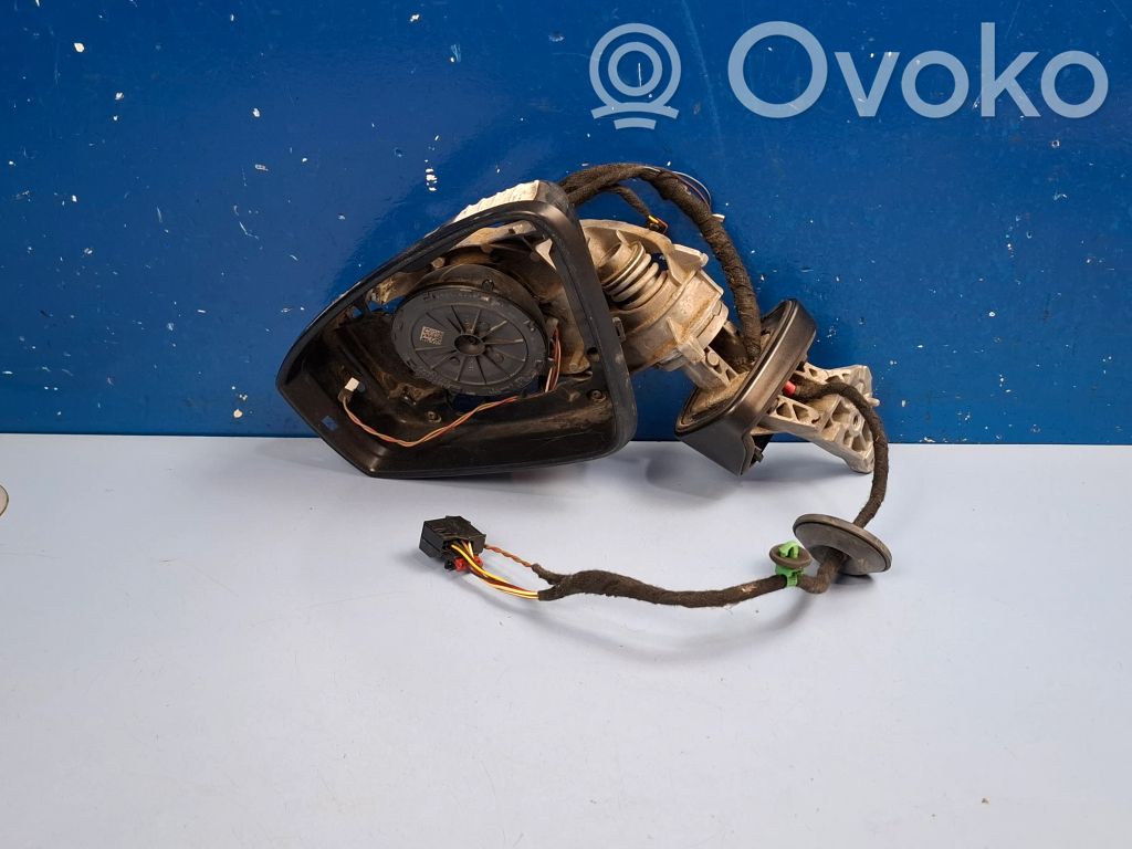 Volkswagen Tiguan Elektryczne lusterko boczne drzwi przednich 