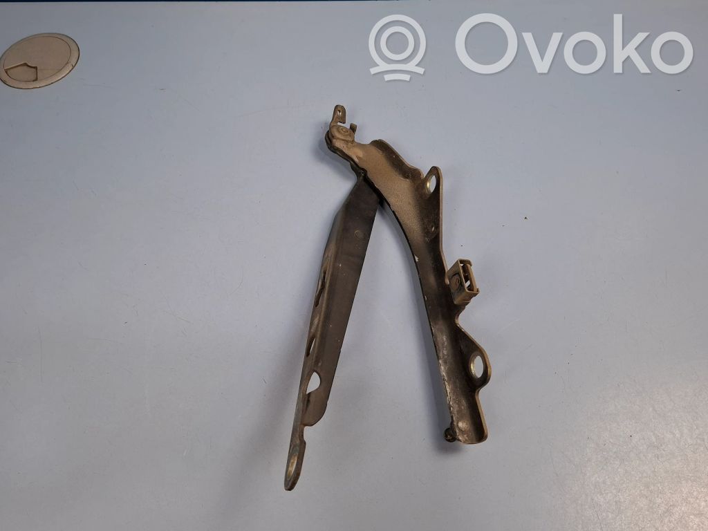 Volvo S60 Dzinēja pārsega eņģe (-es) 