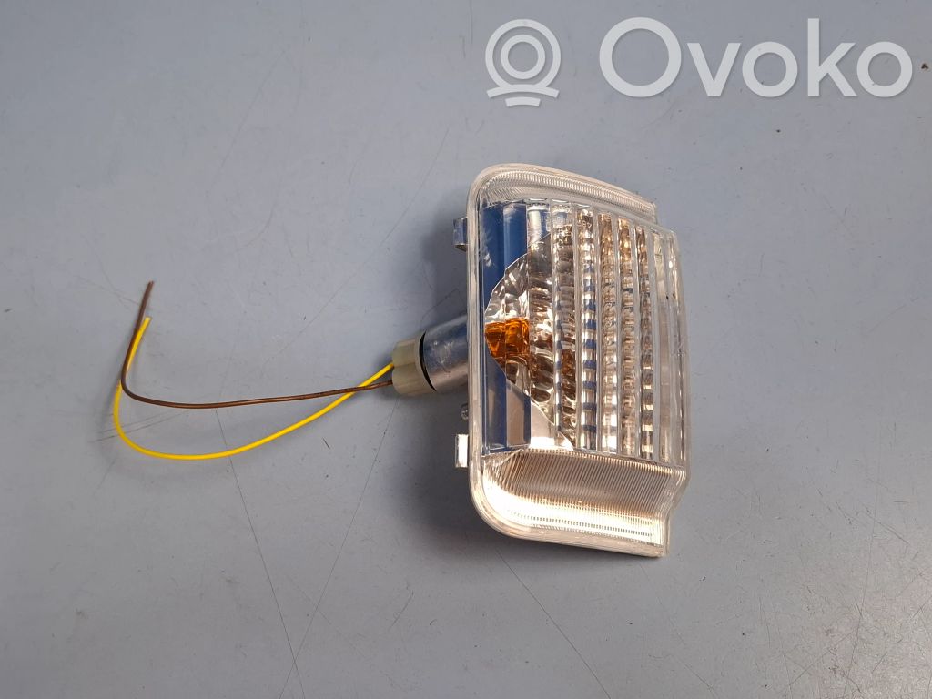 Fiat Ducato Mirror indicator light 