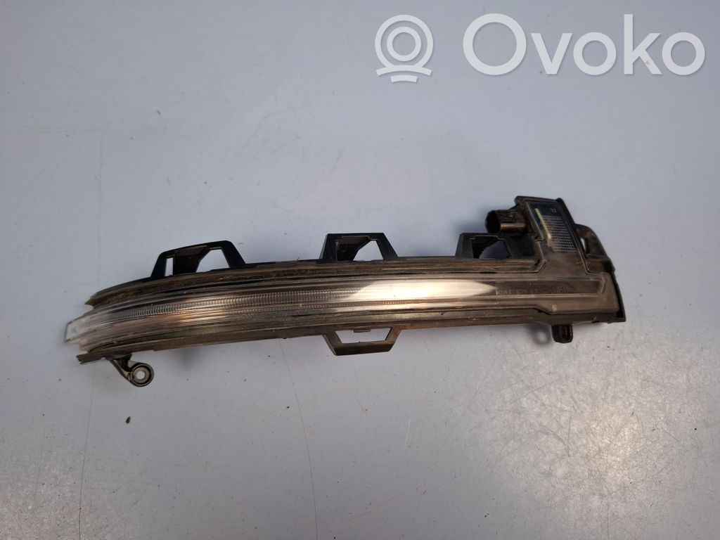 BMW X3 G01 Mirror indicator light 
