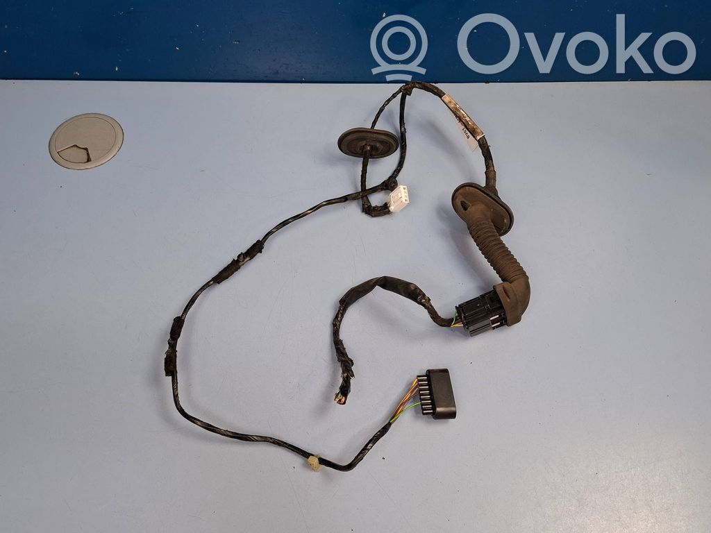 Ford Focus Cableado de puerta trasera 