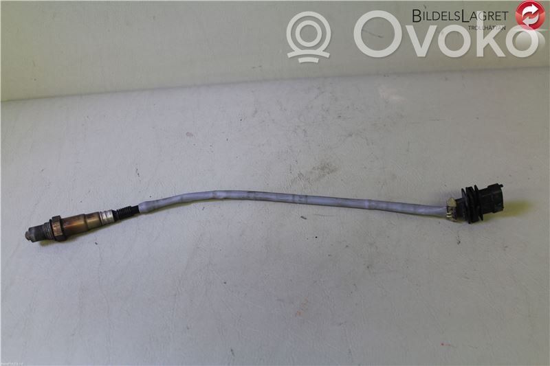 Lambda probe sensor   55563348,0258010121,55563348