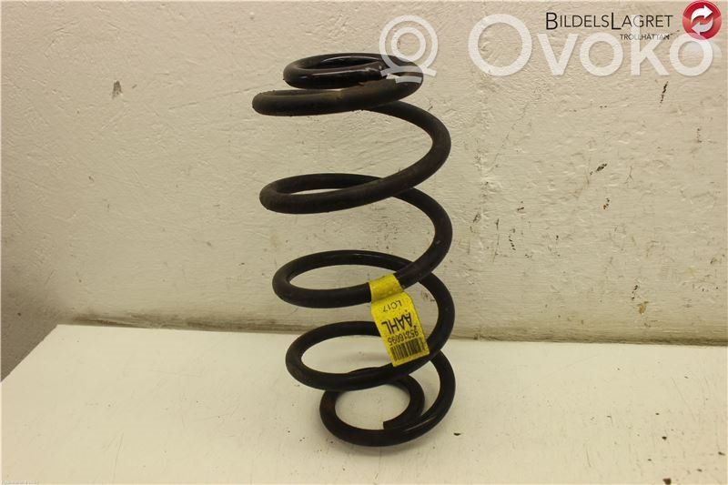 Chevrolet Aveo Rear coil spring 