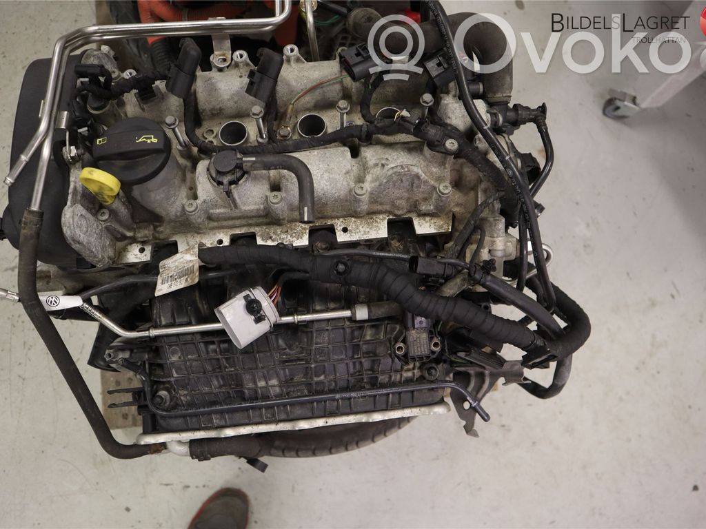 Volkswagen Golf VII Variklis 