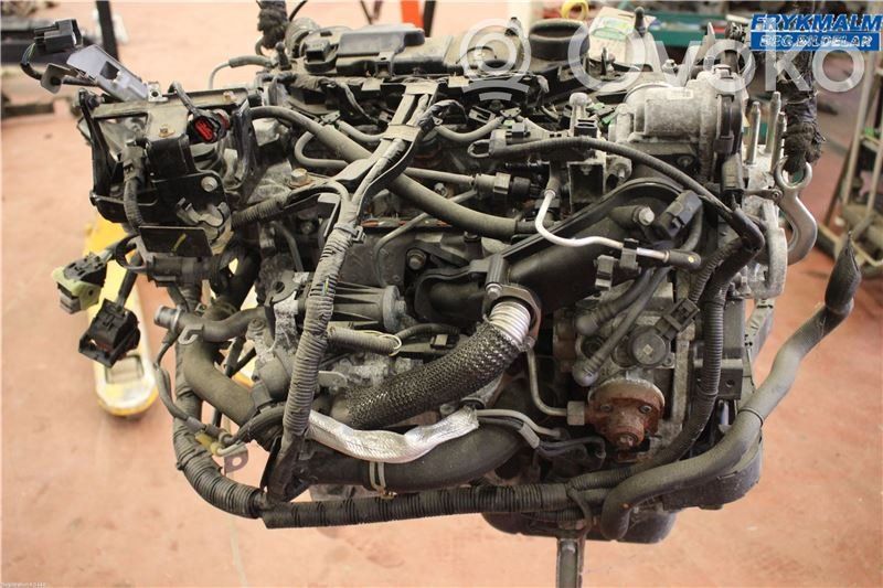 Motor   1763651,1819098,AV2Q6006CA