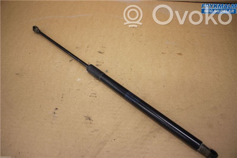 Citroen C4 Cactus Tailgate strut 