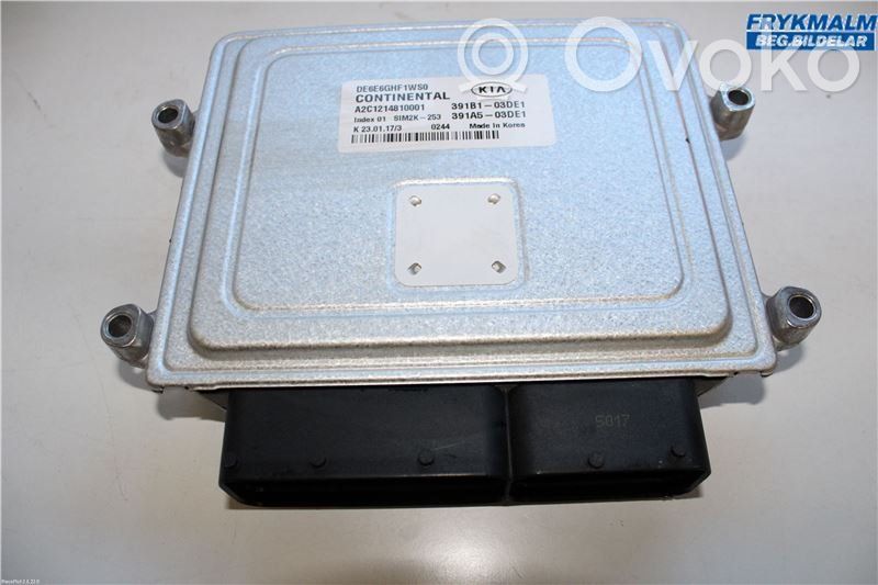 Unidad de control/módulo de la inyección   391A503DE1,391A503DE1