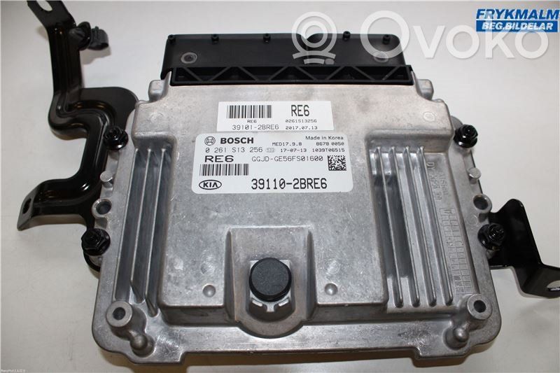 Injection control unit/module   391102BRE6,0261S13256