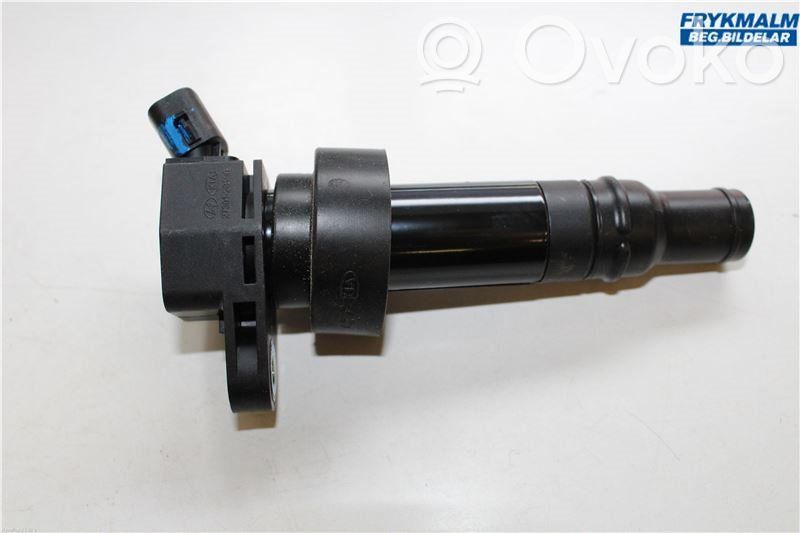 High voltage ignition coil   273012B100