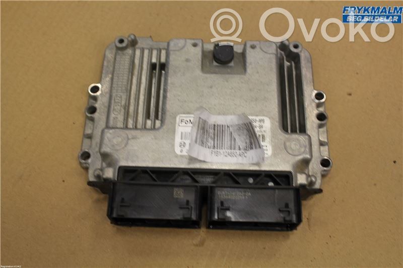 Ford Fiesta Injection control unit/module 