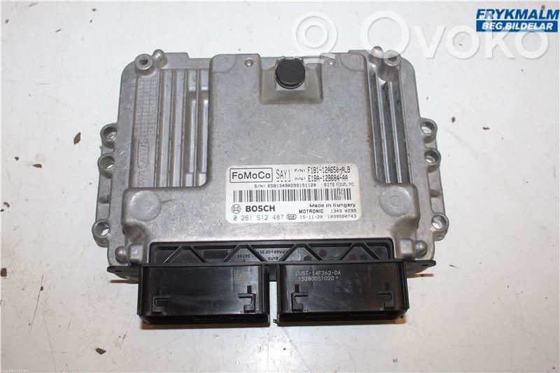 Ford Fiesta Injection control unit/module 
