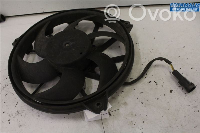 Elektrinis radiatorių ventiliatorius   1253Q7