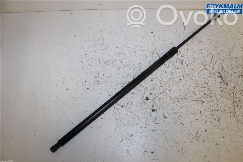 Ford Kuga II Tailgate strut 