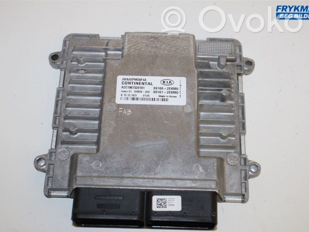 KIA Optima Injection control unit/module 