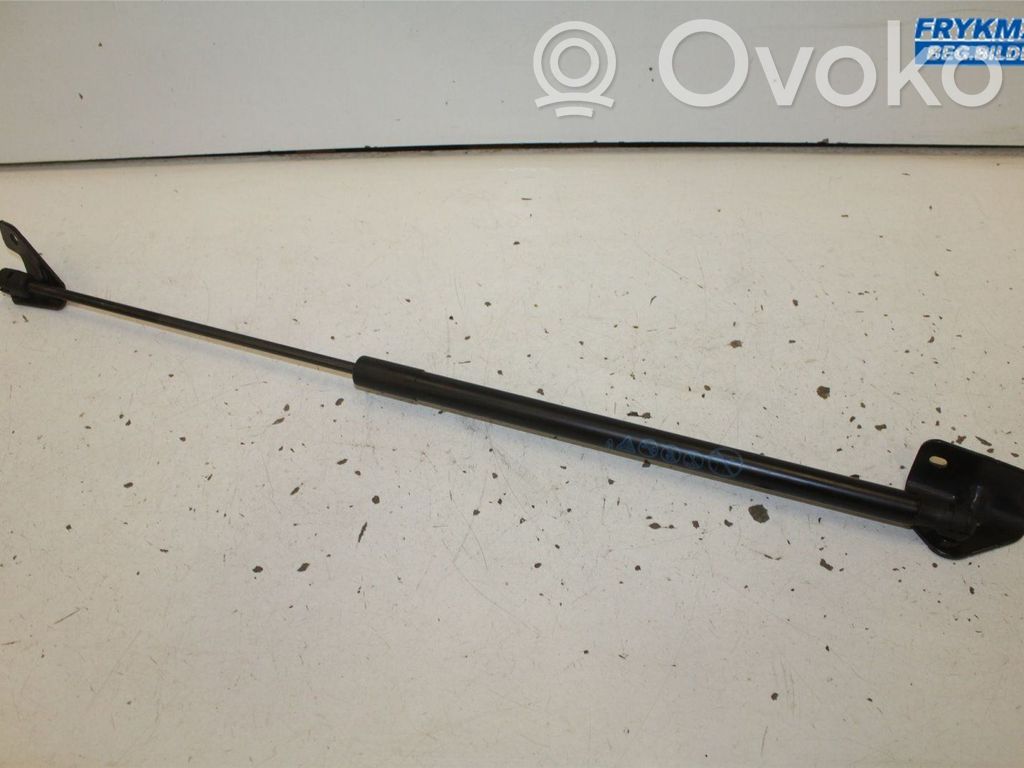 Ford Focus Tailgate strut 