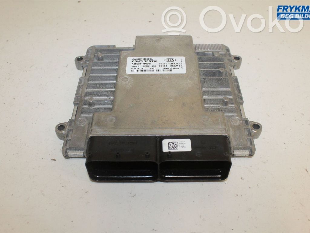 Injection control unit/module   391612EKM1