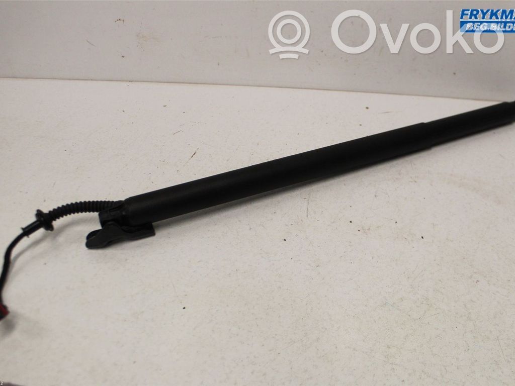 KIA Ceed Tailgate strut 