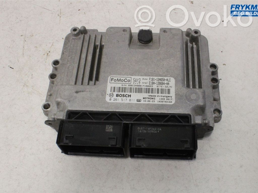Ford Fiesta Injection control unit/module 