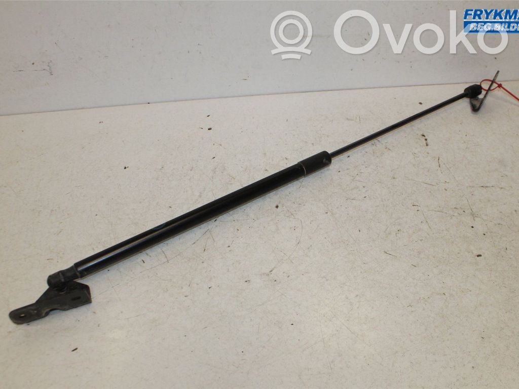 Ford Focus Tailgate strut 